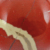 Jaspe rouge